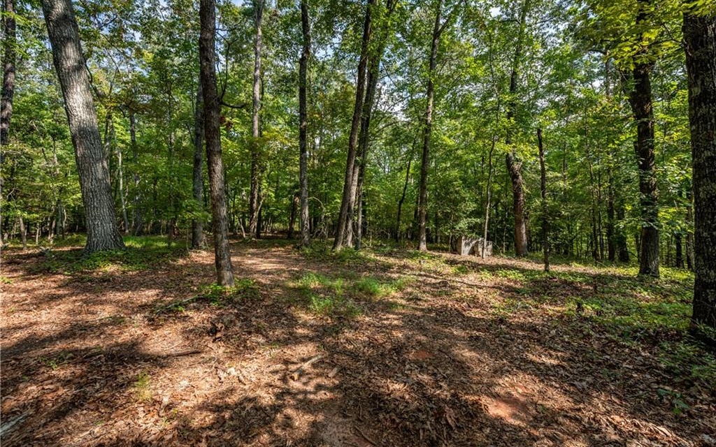 0 Grindle Bridge Road, Unit A Dahlonega, GA 30533 - Photo 8 of 19 Additional View