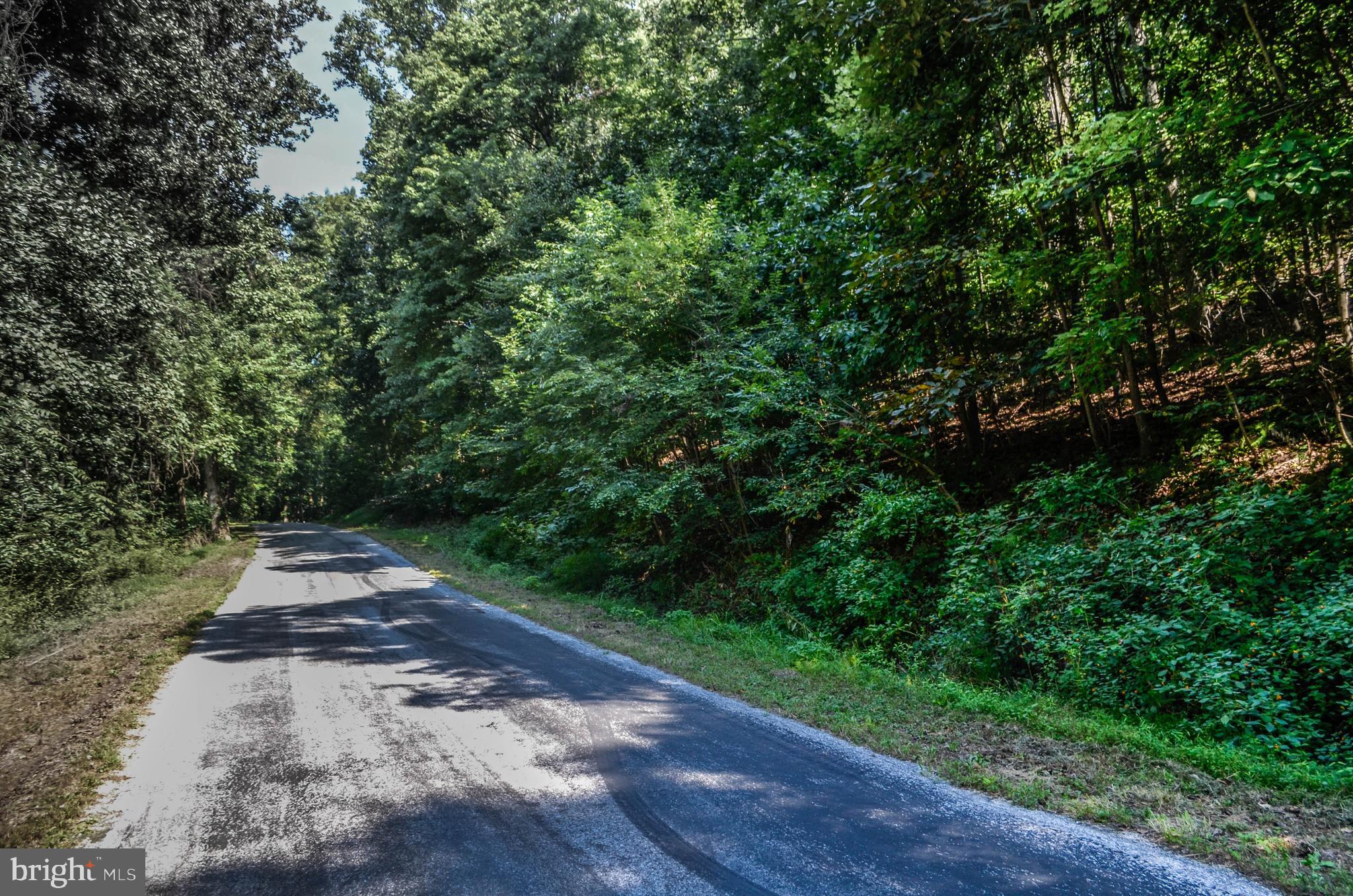 Lot 4 Pomraning Road Brogue, PA 17309 - Photo 1 of 10 Gallery Image 1