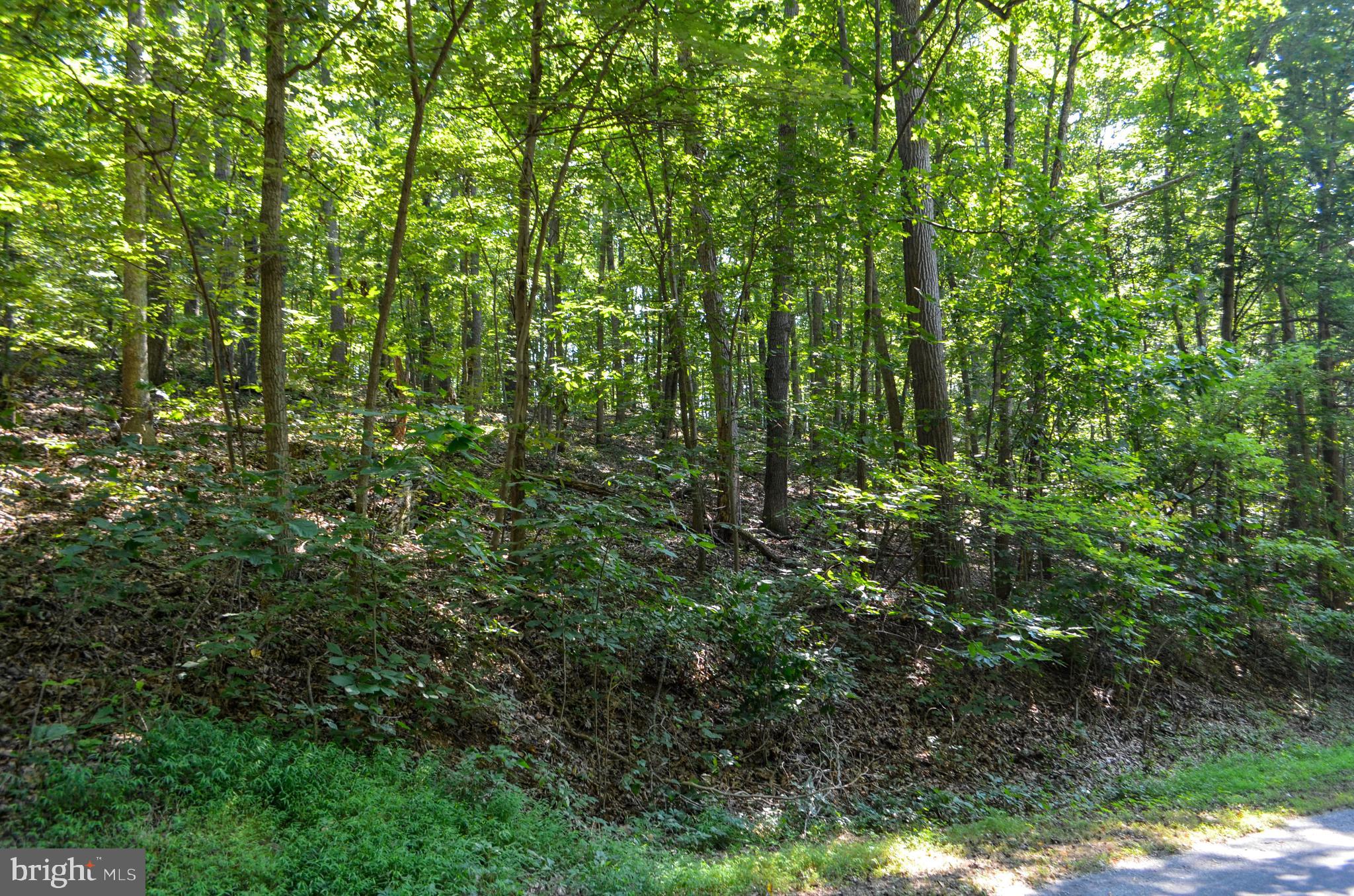 Lot 4 Pomraning Road Brogue, PA 17309 - Photo 3 of 10 Gallery Image 3
