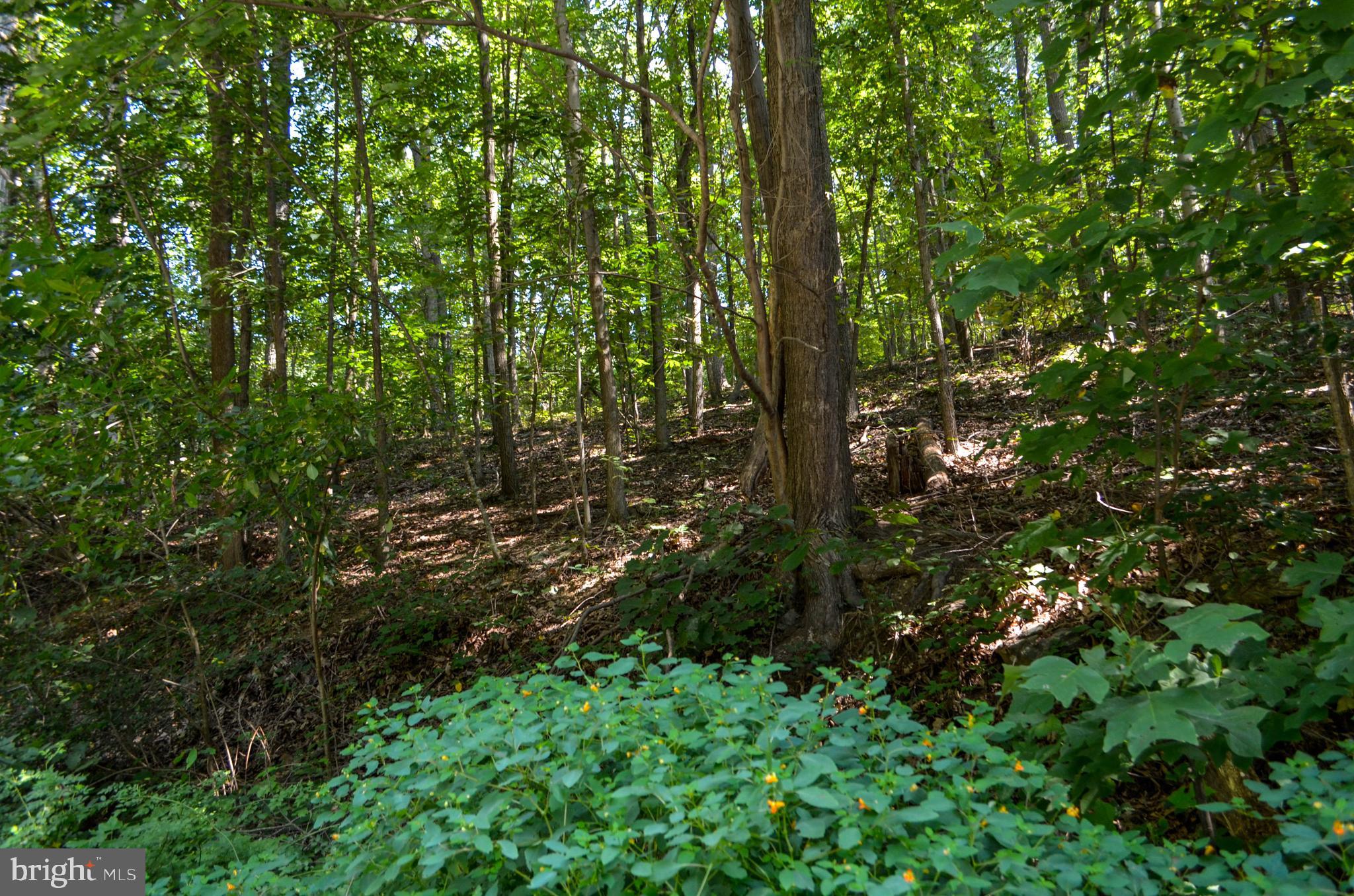 Lot 4 Pomraning Road Brogue, PA 17309 - Photo 4 of 10 Gallery Image 4