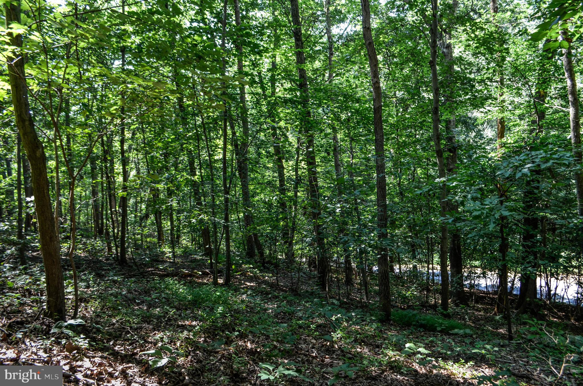 Lot 4 Pomraning Road Brogue, PA 17309 - Photo 6 of 10 Gallery Image 6