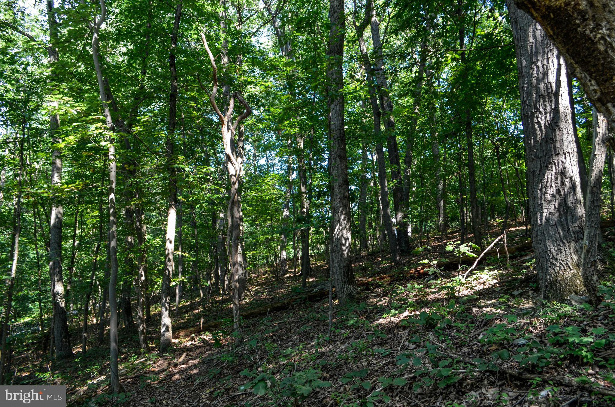 Lot 4 Pomraning Road Brogue, PA 17309 - Photo 7 of 10 Gallery Image 7