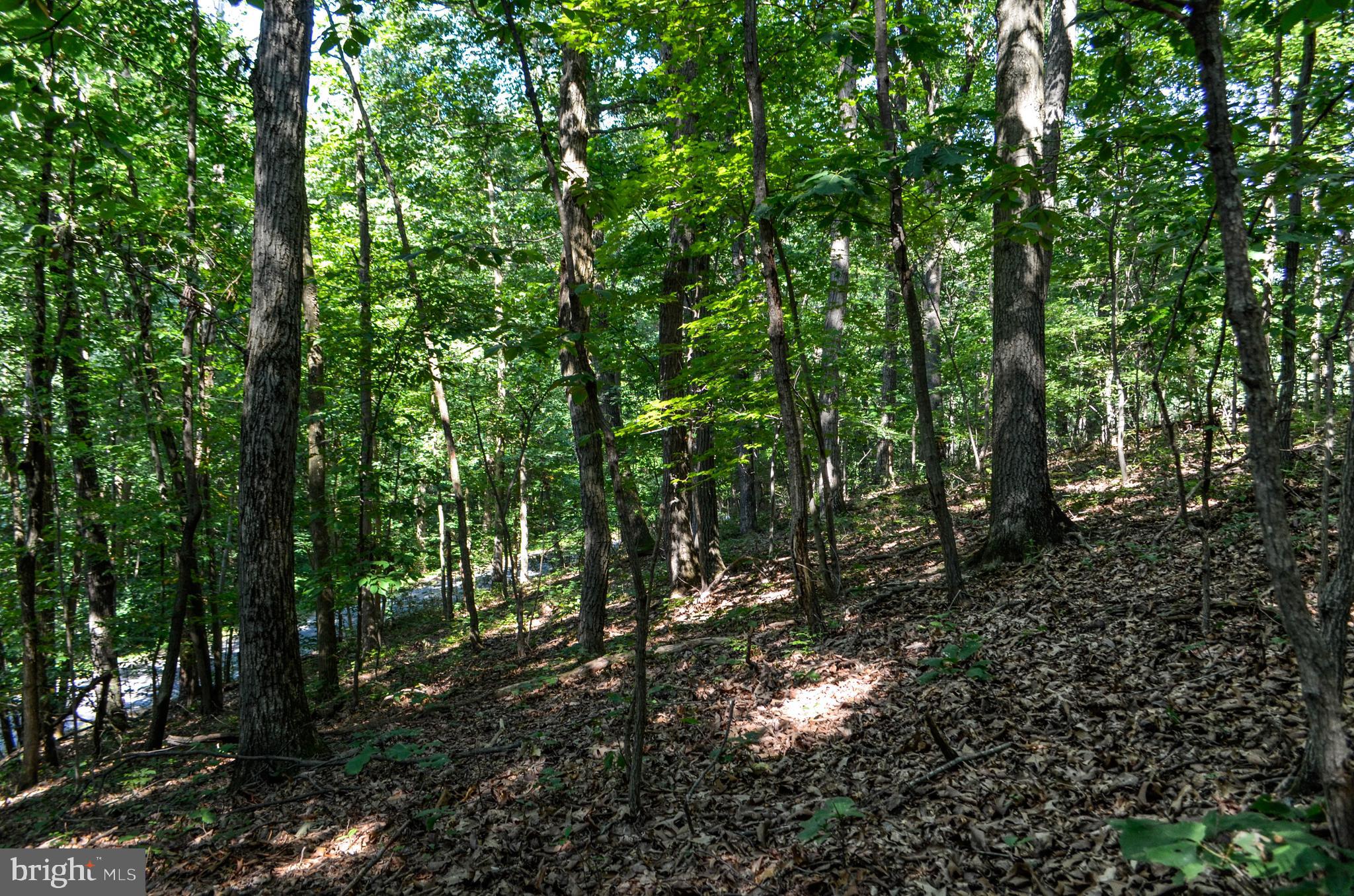 Lot 4 Pomraning Road Brogue, PA 17309 - Photo 8 of 10 Gallery Image 8