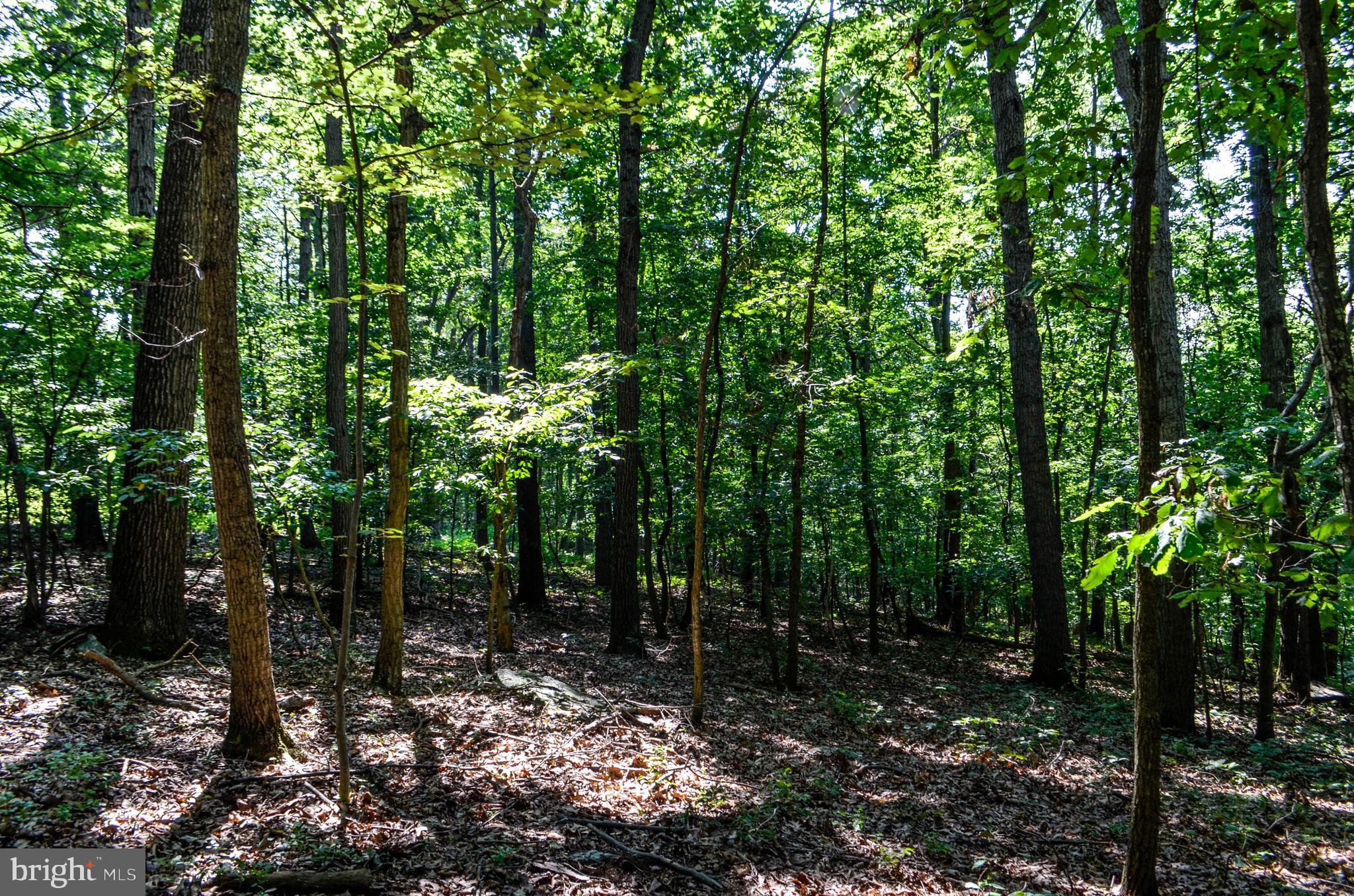 Lot 4 Pomraning Road Brogue, PA 17309 - Photo 9 of 10 Gallery Image 9