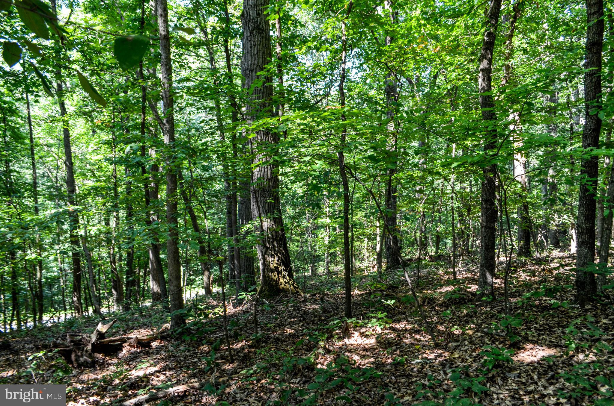 Lot 4 Pomraning Road Brogue, PA 17309 - Photo 10 of 10 Gallery Image 10