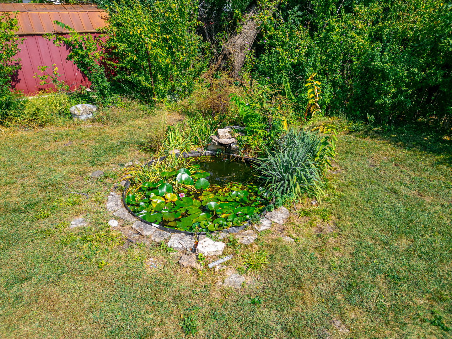 4313 Elm Avenue Lyons, IL 60534 - Photo 33 of 34 a view of a garden
