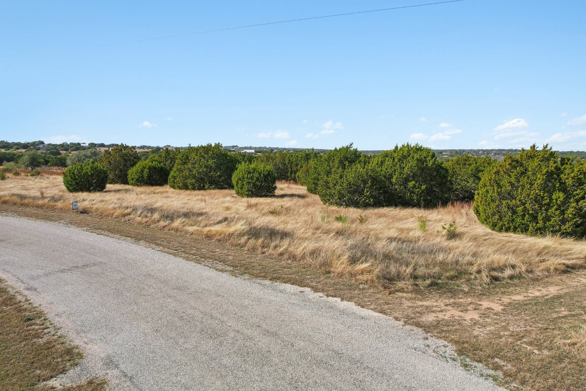 380 Whitetail Ridge Bertram, TX 78605 - Photo 7 of 19 a view of a road with a yard