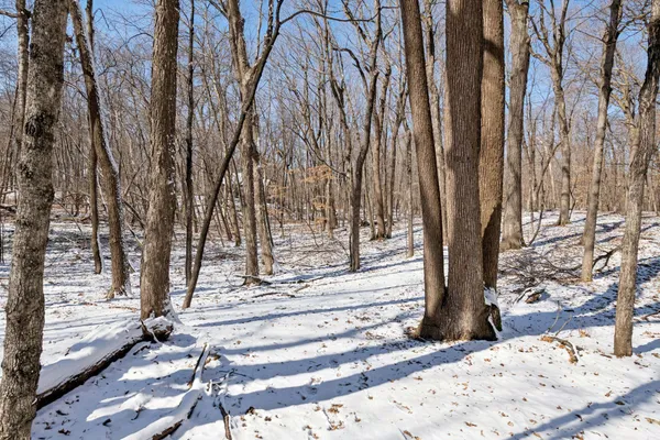 $1,000,000 | 4109 North Shore Drive, Orono, MN 55364