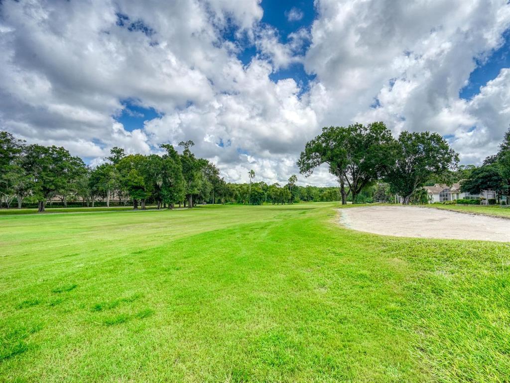 3944 Silk Oak Lane Palm Harbor, FL 34685 - Photo 43 of 60 Gallery Image 43