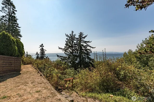 a view of a yard with plants and wooden fence