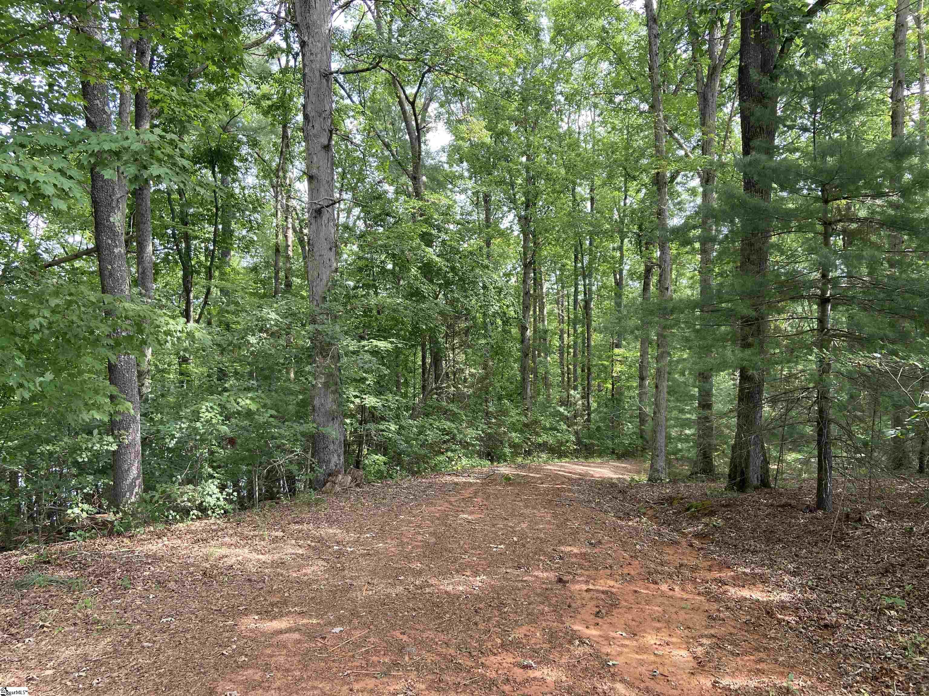 Ledbetter Road Travelers Rest, SC 29690 - Photo 11 of 22