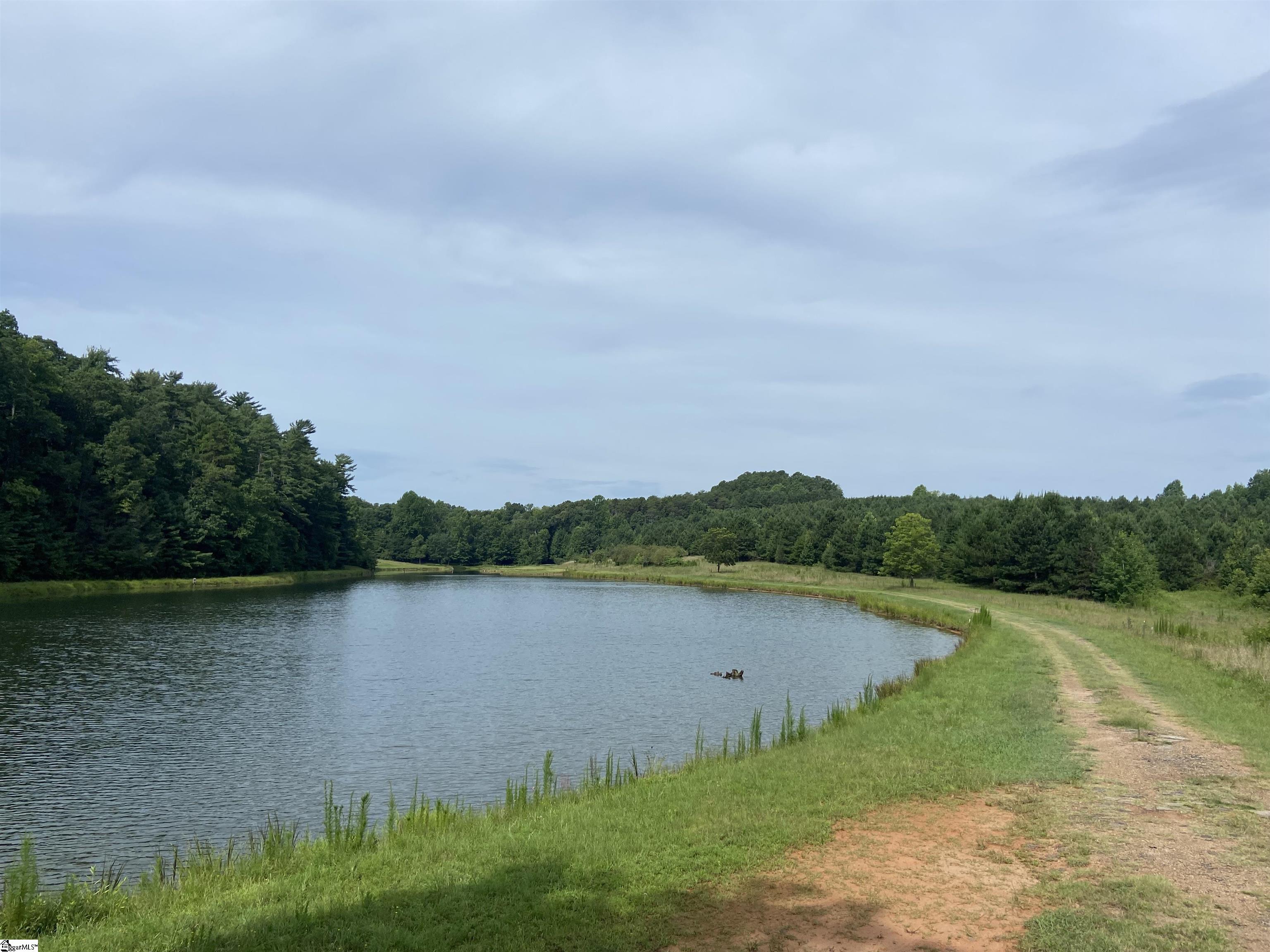 Ledbetter Road Travelers Rest, SC 29690 - Photo 3 of 22