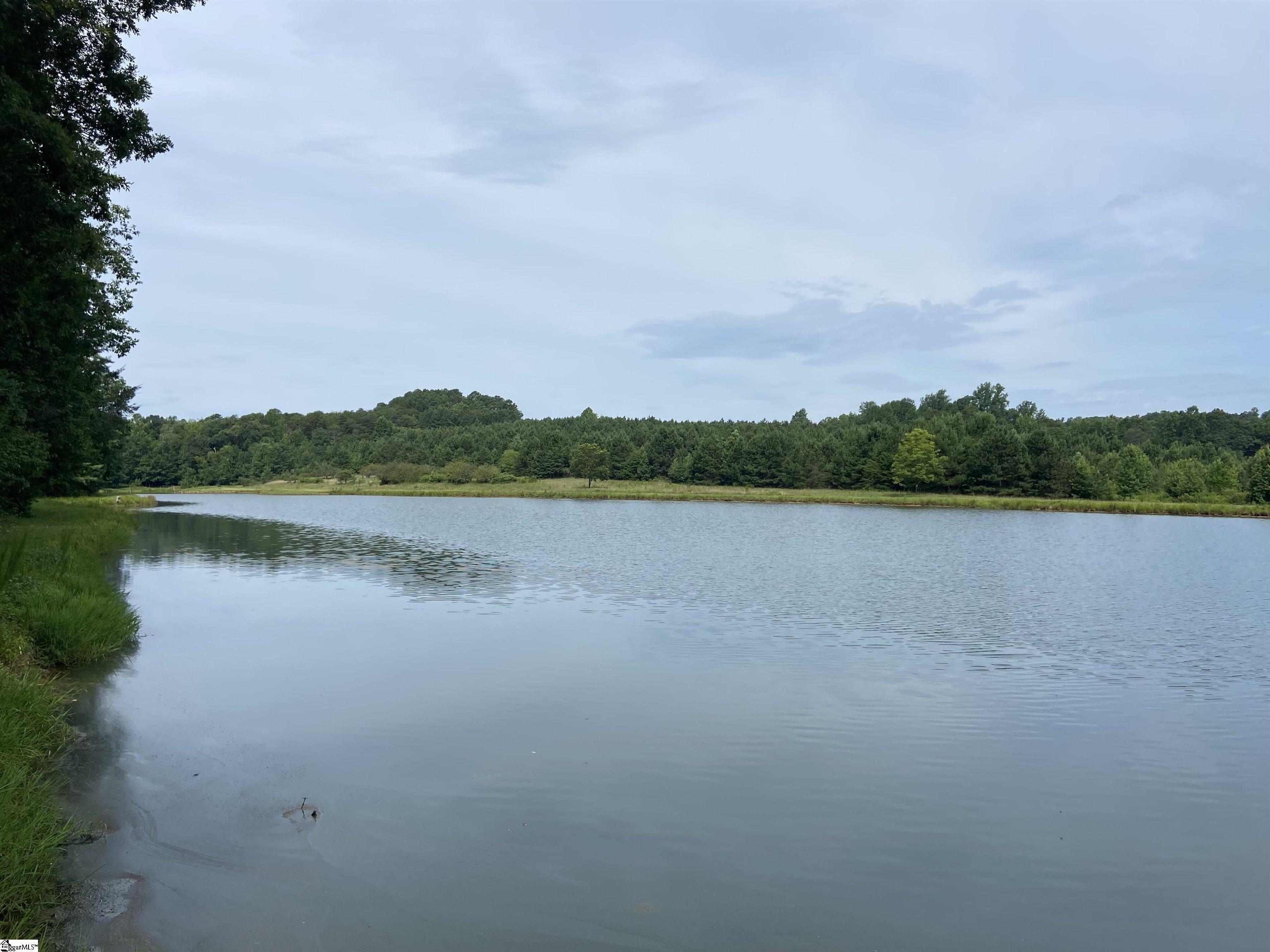 Ledbetter Road Travelers Rest, SC 29690 - Photo 5 of 22