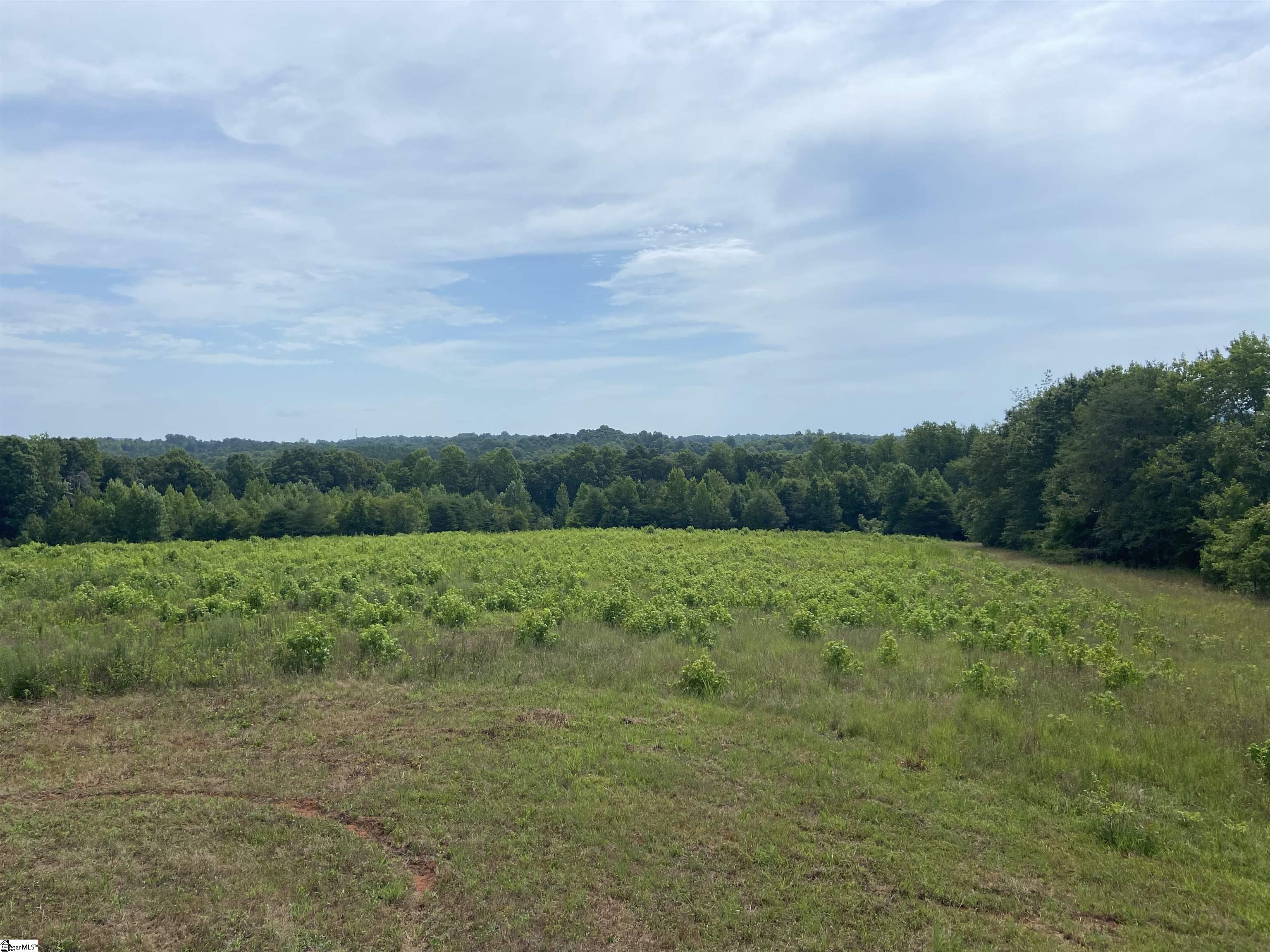 Ledbetter Road Travelers Rest, SC 29690 - Photo 8 of 22