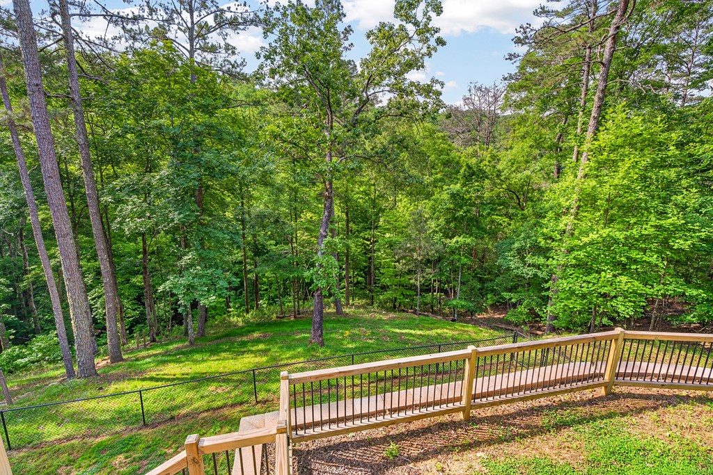 285 Julep Circle Ellijay, GA 30540 - Photo 54 of 56