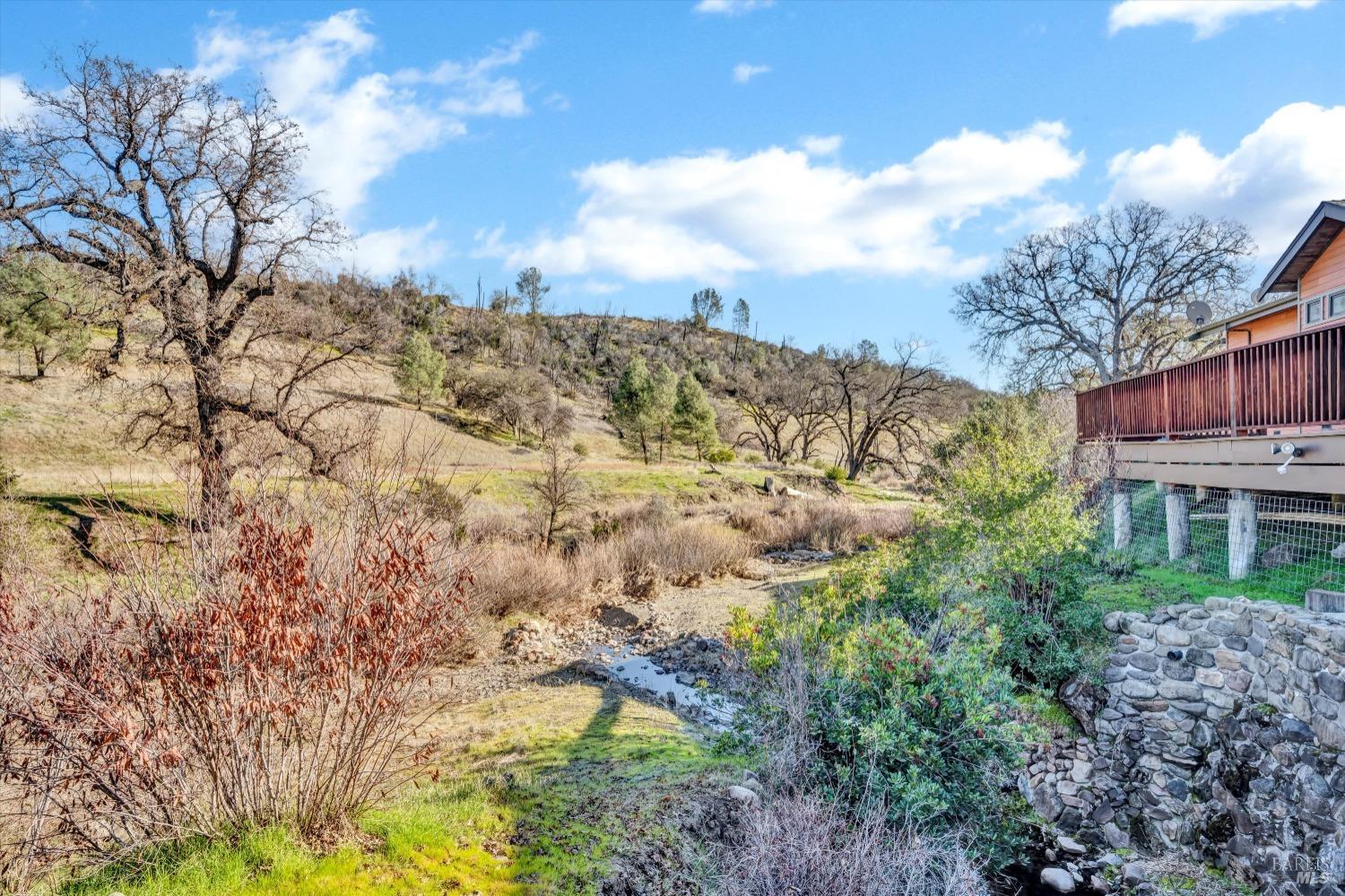 1900 Stagecoach Canyon Road Pope Valley, CA 94567 - Photo 45 of 70 a view of a yard with large trees