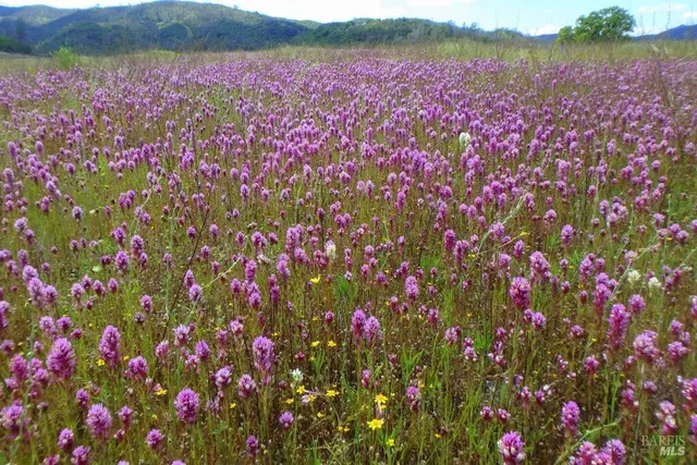 $975,000 | 1900 Stagecoach Canyon Road, Pope Valley, CA 94567