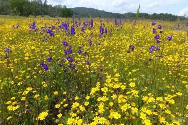 $975,000 | 1900 Stagecoach Canyon Road, Pope Valley, CA 94567