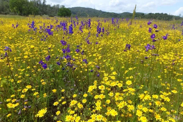 $870,000 | 1900 Stagecoach Canyon Road, Pope Valley, CA 94567