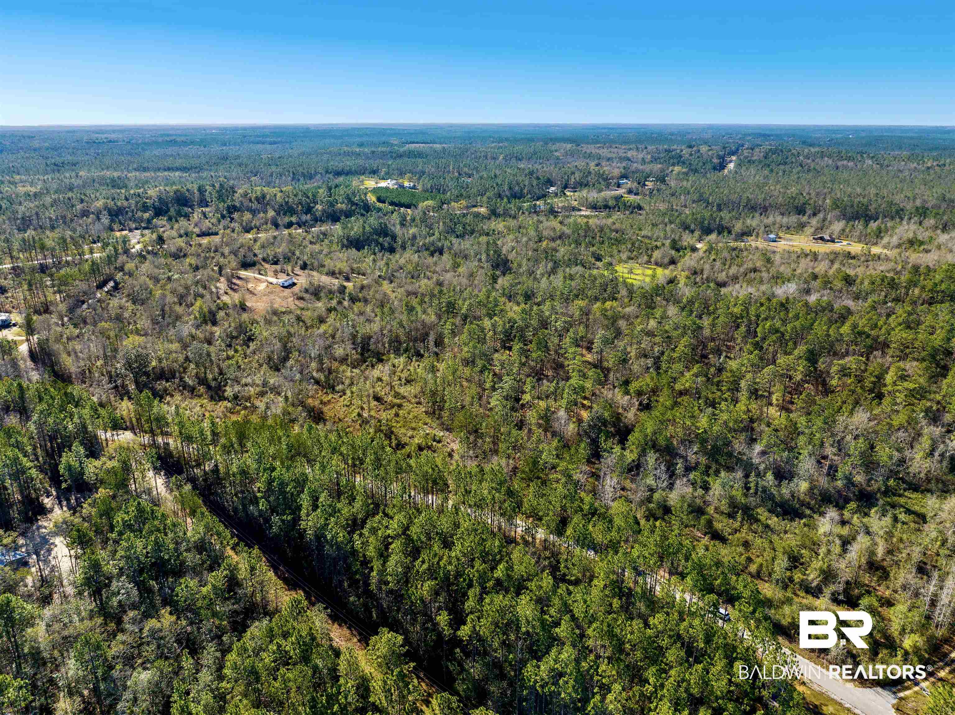 51381 Propst Road Bay Minette, AL 36507 - Photo 9 of 18