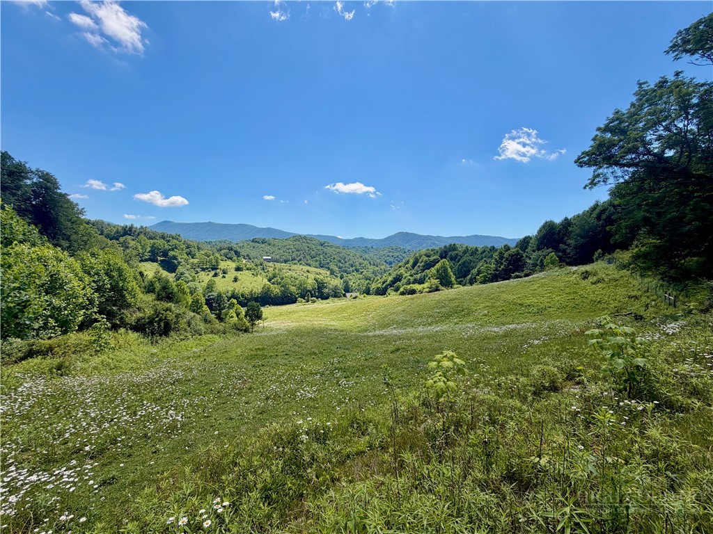 419 Fletcher Branch Road Vilas, NC 28692 - Photo 47 of 50