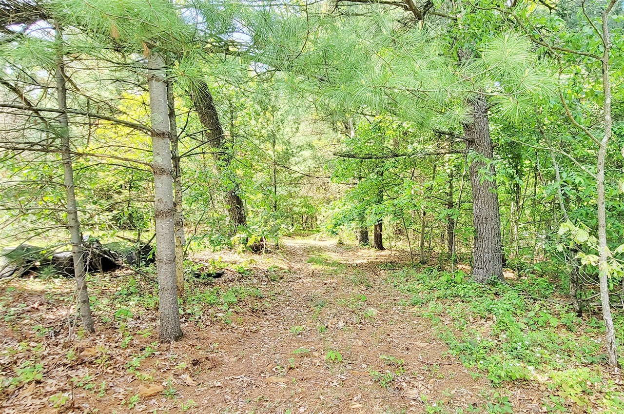 5350 East Crystal Lake Road Holton, MI 49425 - Photo 19 of 32