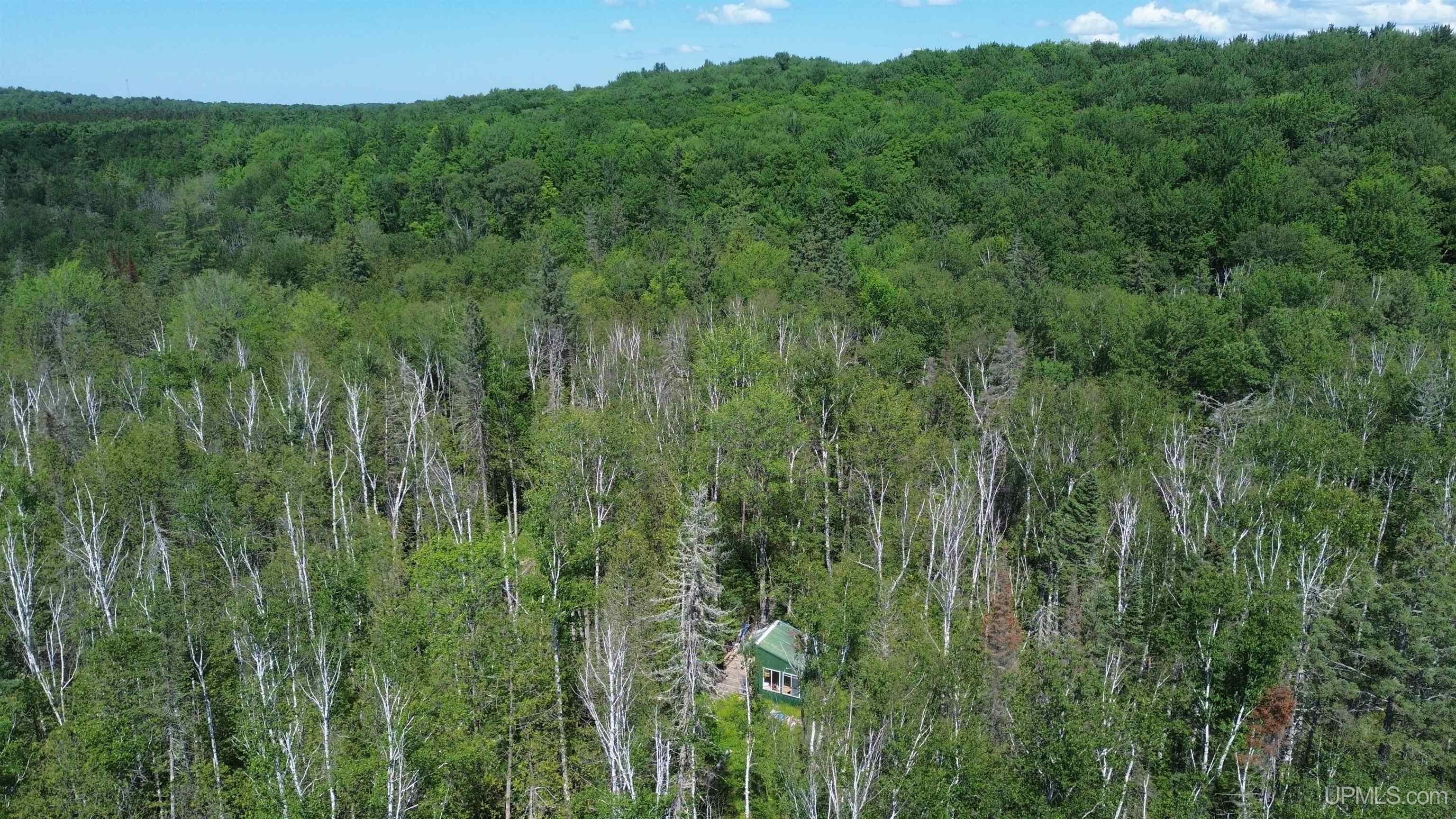 13 Highway Wetmore, MI 49895 - Photo 1 of 39