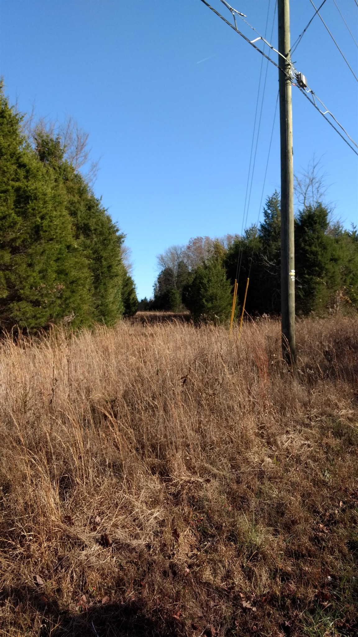 0 Harkreader Road Mount Juliet, TN 37122 - Photo 8 of 13 a view of a field with a tree