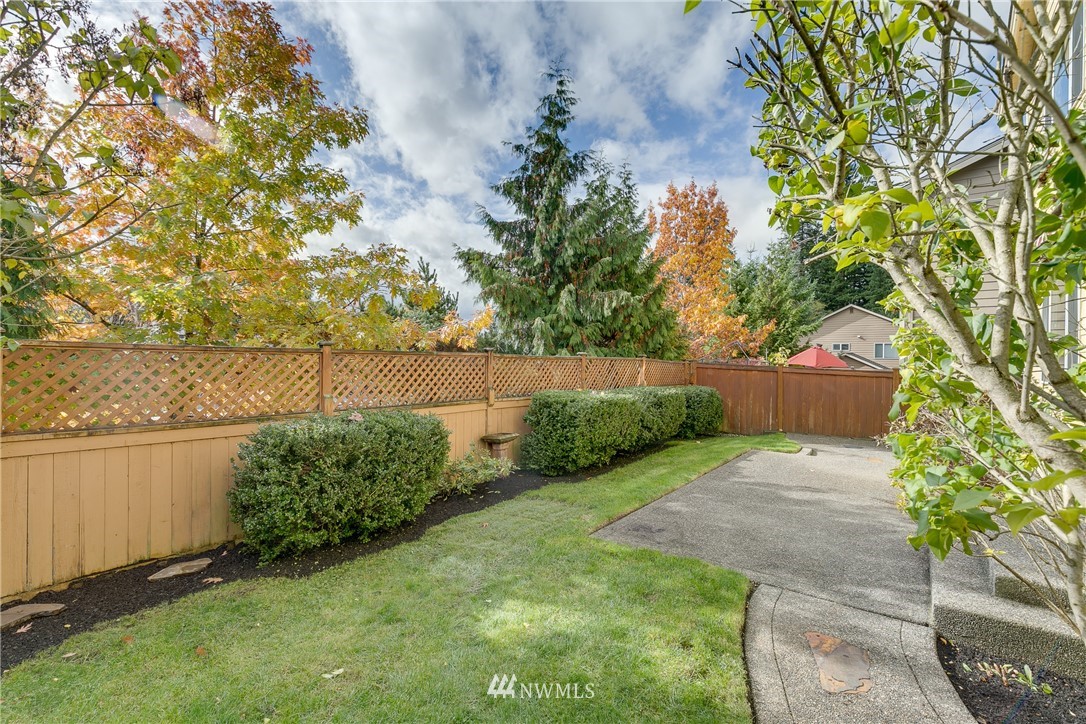 1532 170th Street Southeast Bothell, WA 98012 - Photo 36 of 39 a view of a backyard with plants and large trees