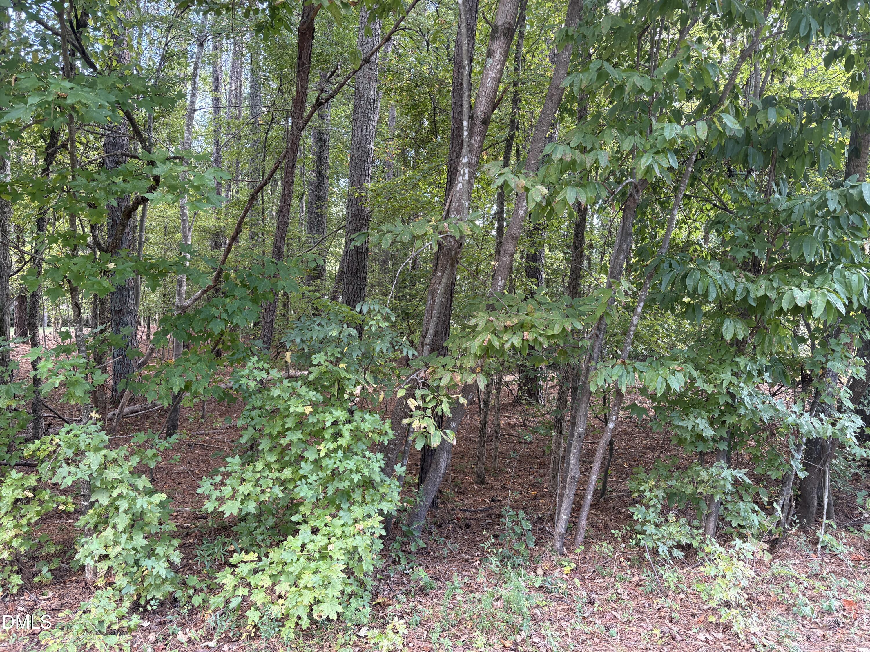 131 Clear Water Road Louisburg, NC 27549 - Photo 1 of 3 IMG_3674