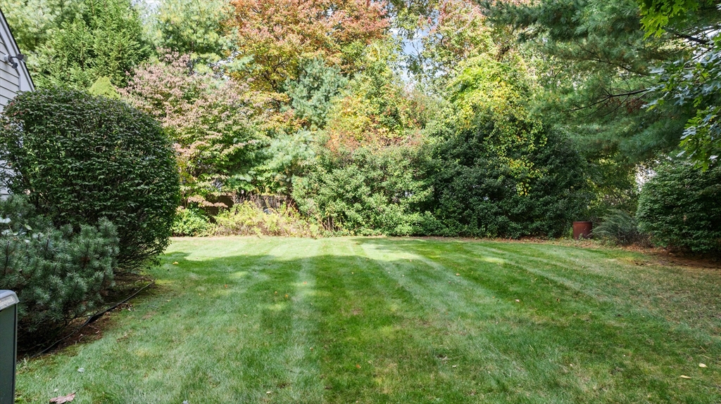 4 Penny Lane Wareham, MA 02558 - Photo 31 of 32 a view of yard with green space