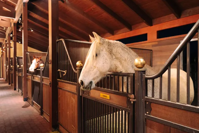 $18,500,000 | 338 Toro Canyon Road, Carpinteria, CA 93013