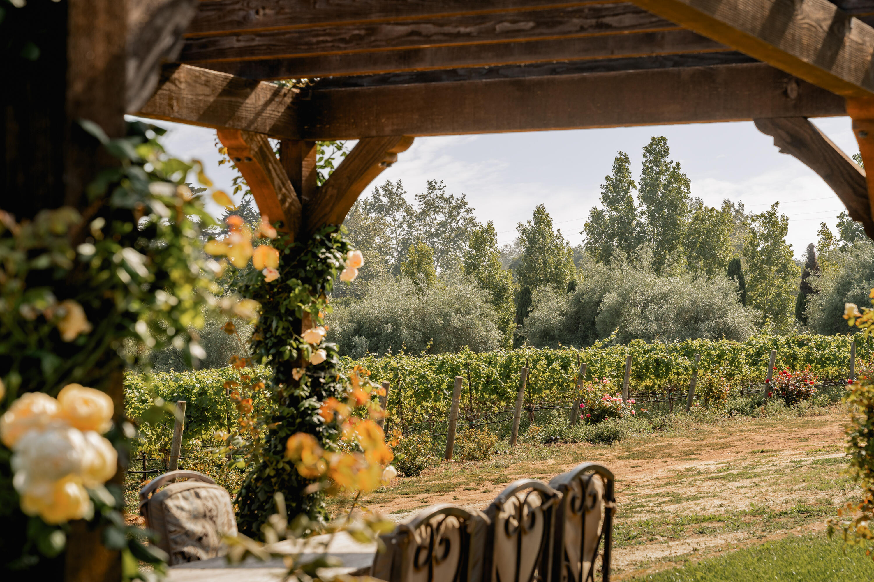 338 Toro Canyon Road Carpinteria, CA 93013 - Photo 29 of 37 Grounds