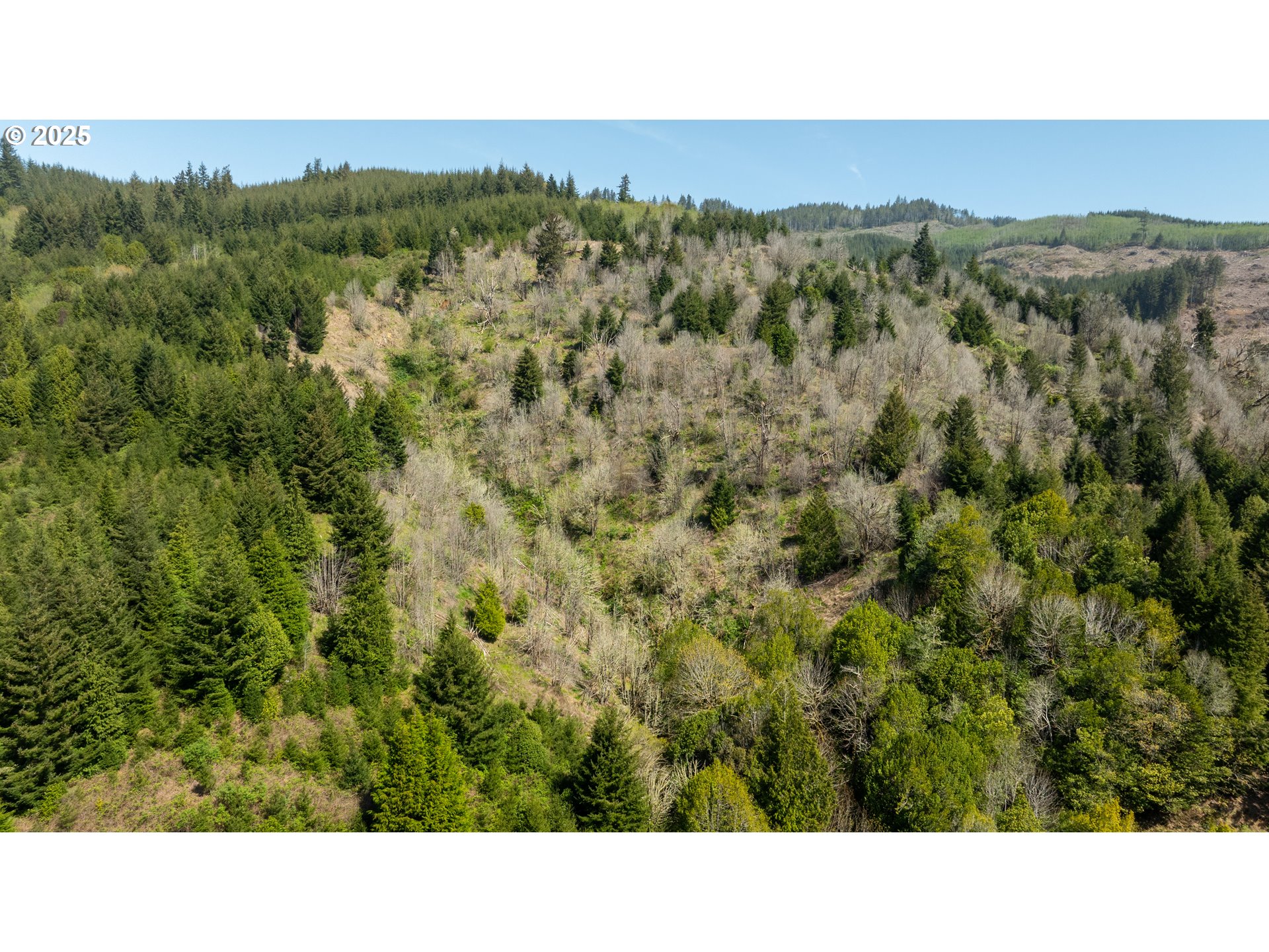 0 Kentuck Way Lane North Bend, OR 97459 - Photo 9 of 9