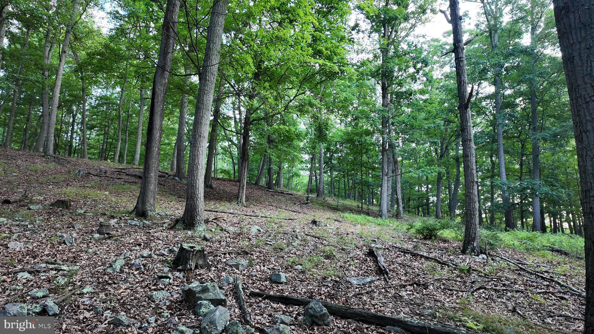 Lot 203 Graces Cabin Road Romney, WV 26757 - Photo 23 of 35 Gallery Image 23
