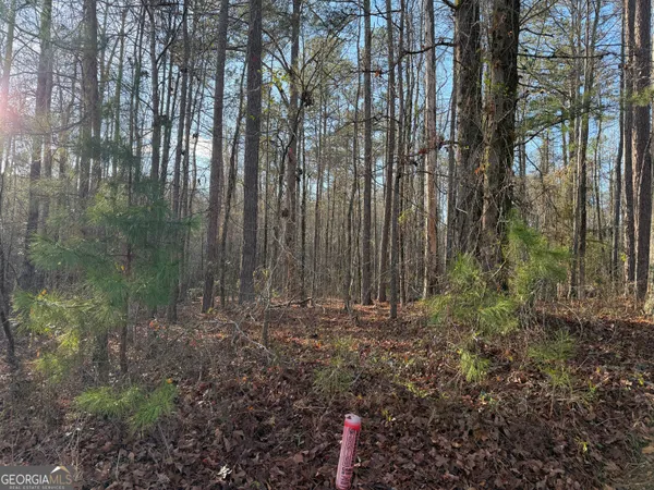 a view of backyard with green space