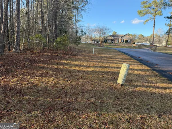 a view of a yard