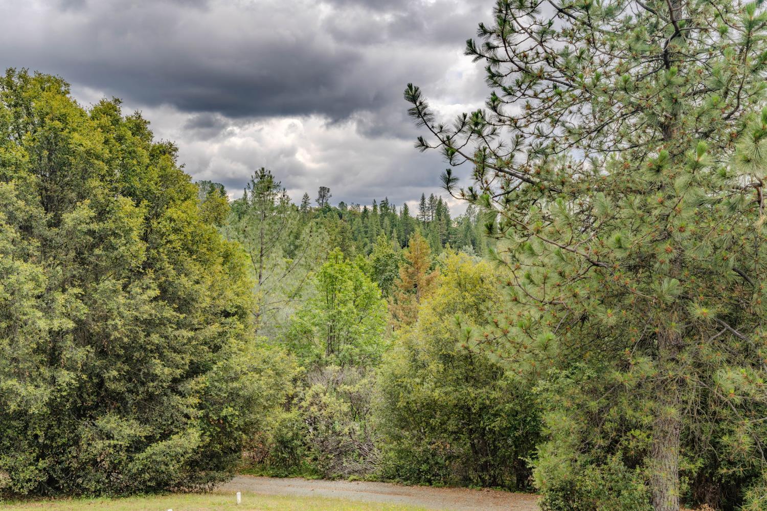 18461 Shake Ridge Road Sutter Creek, CA 95685 - Photo 63 of 77