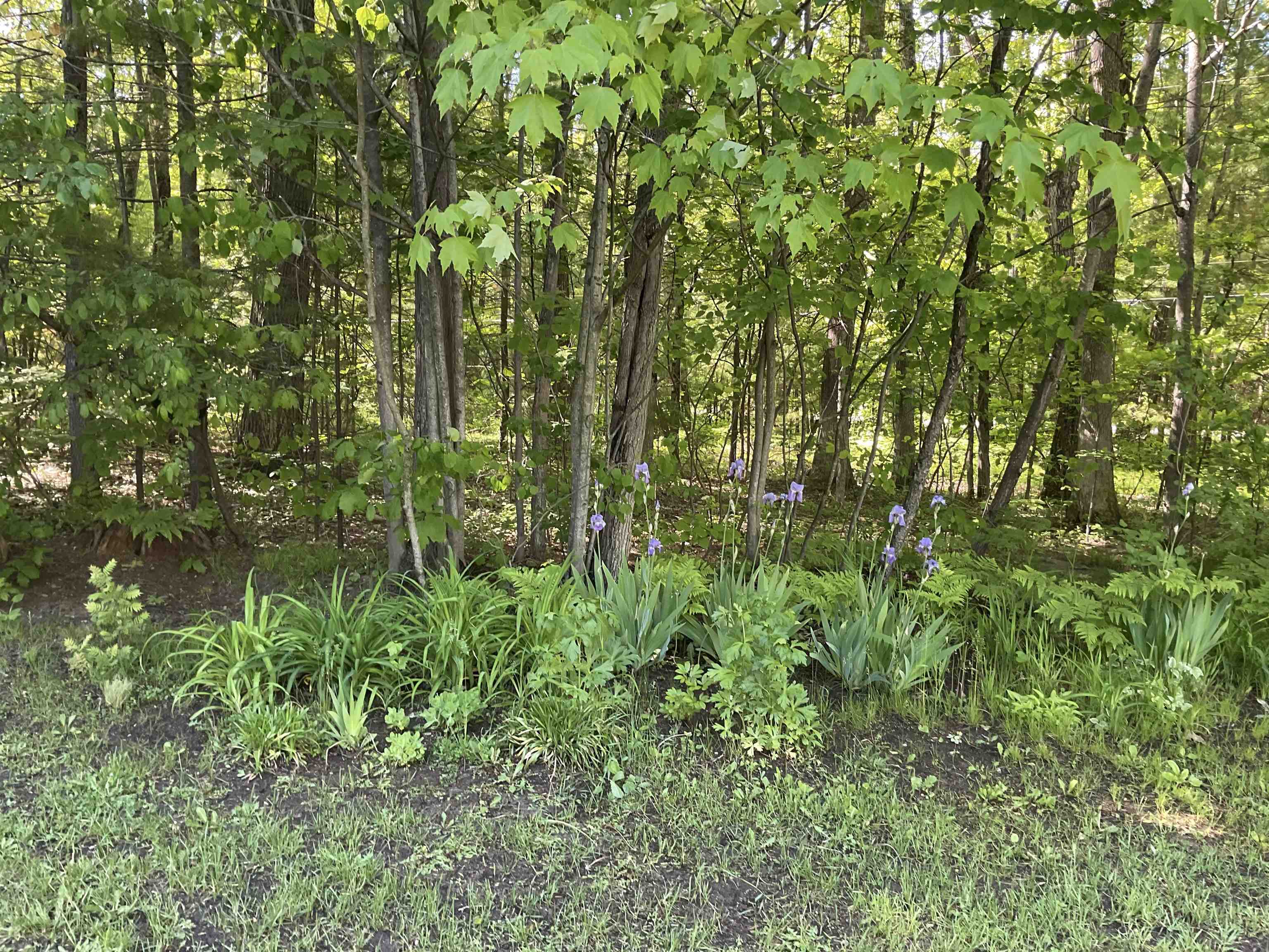 3300 East Arnold Lake Road Harrison, MI 48625 - Photo 87 of 90 1947481-cc0178aa-2eb8-486e-a80f-c15163472226.JPG