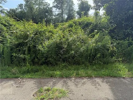 $37,500 | Lot 5 Robinson Road, Hammond, LA 70403