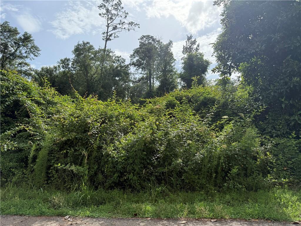 Lot 5 Robinson Road Hammond, LA 70403 - Photo 2 of 3