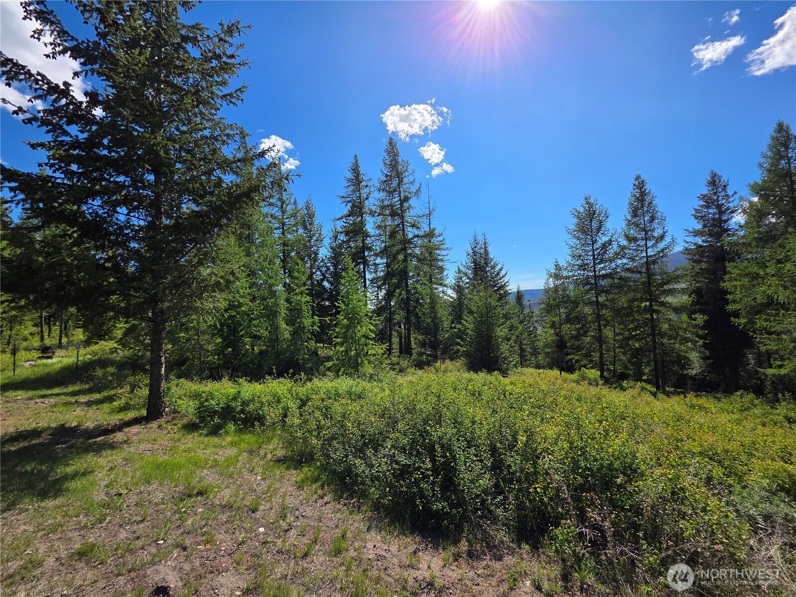 393 Summer Road Tonasket, WA 98855 - Photo 19 of 37 a view of outdoor space and yard