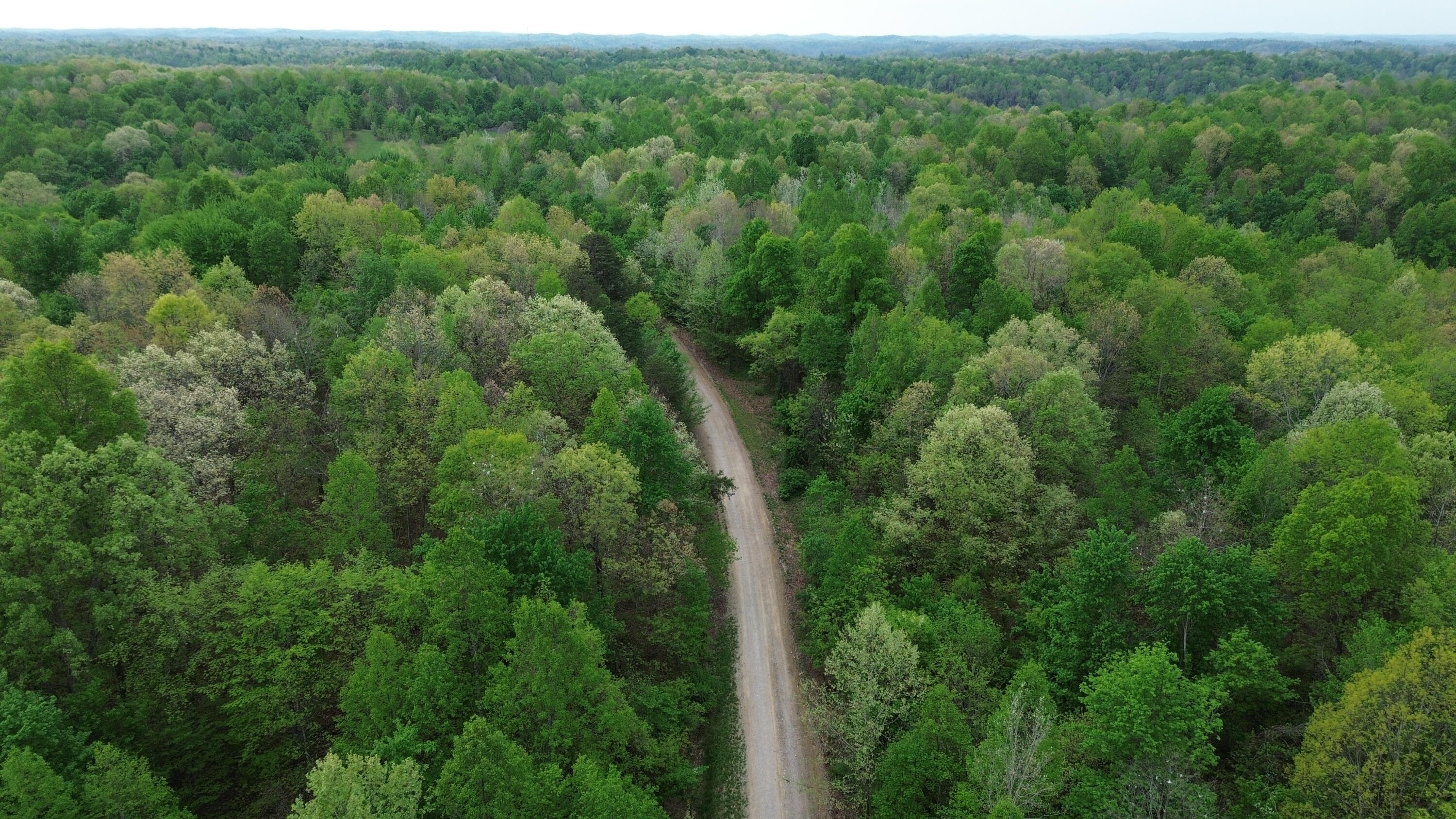 1271 A Tunnel Ridge Road Grayson, KY 41143 - Photo 10 of 134 Gravel Road