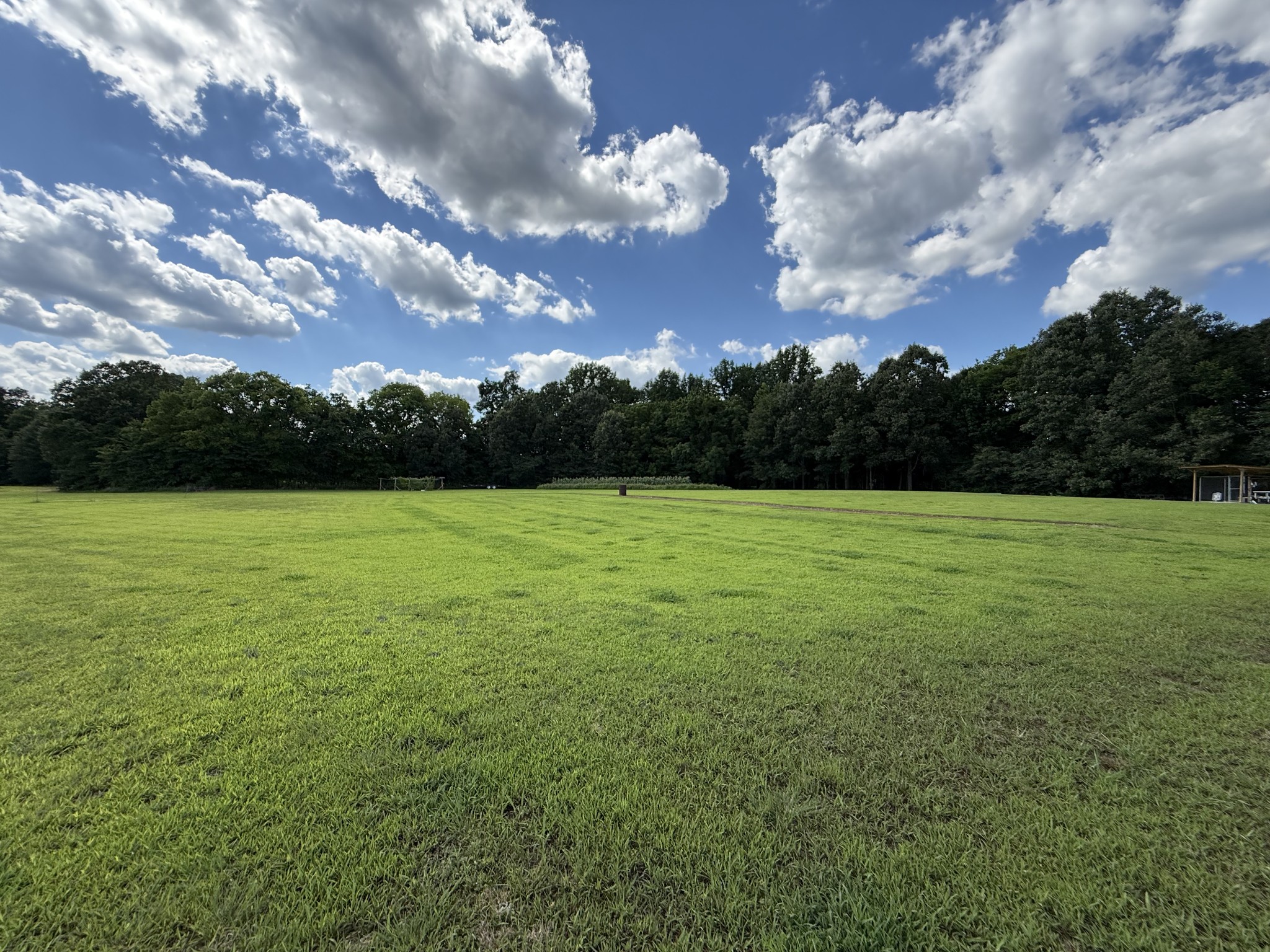 2333 Shady Grove Road McKenzie, TN 38201 - Photo 44 of 72