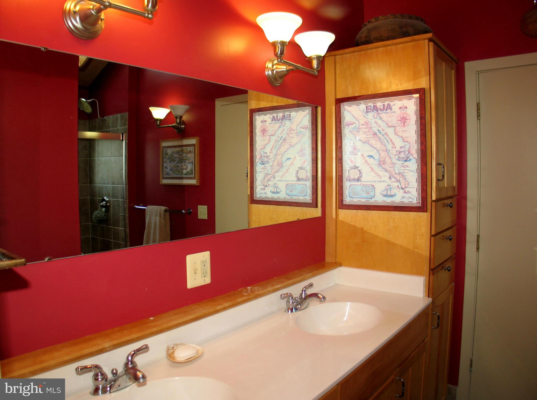 21967 Blue Ridge Mountain Road Paris, VA 20130 - Photo 12 of 30 Master Bath with "His