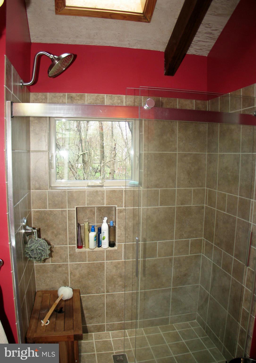 21967 Blue Ridge Mountain Road Paris, VA 20130 - Photo 13 of 30 Grand Tiled Shower with Skylight
