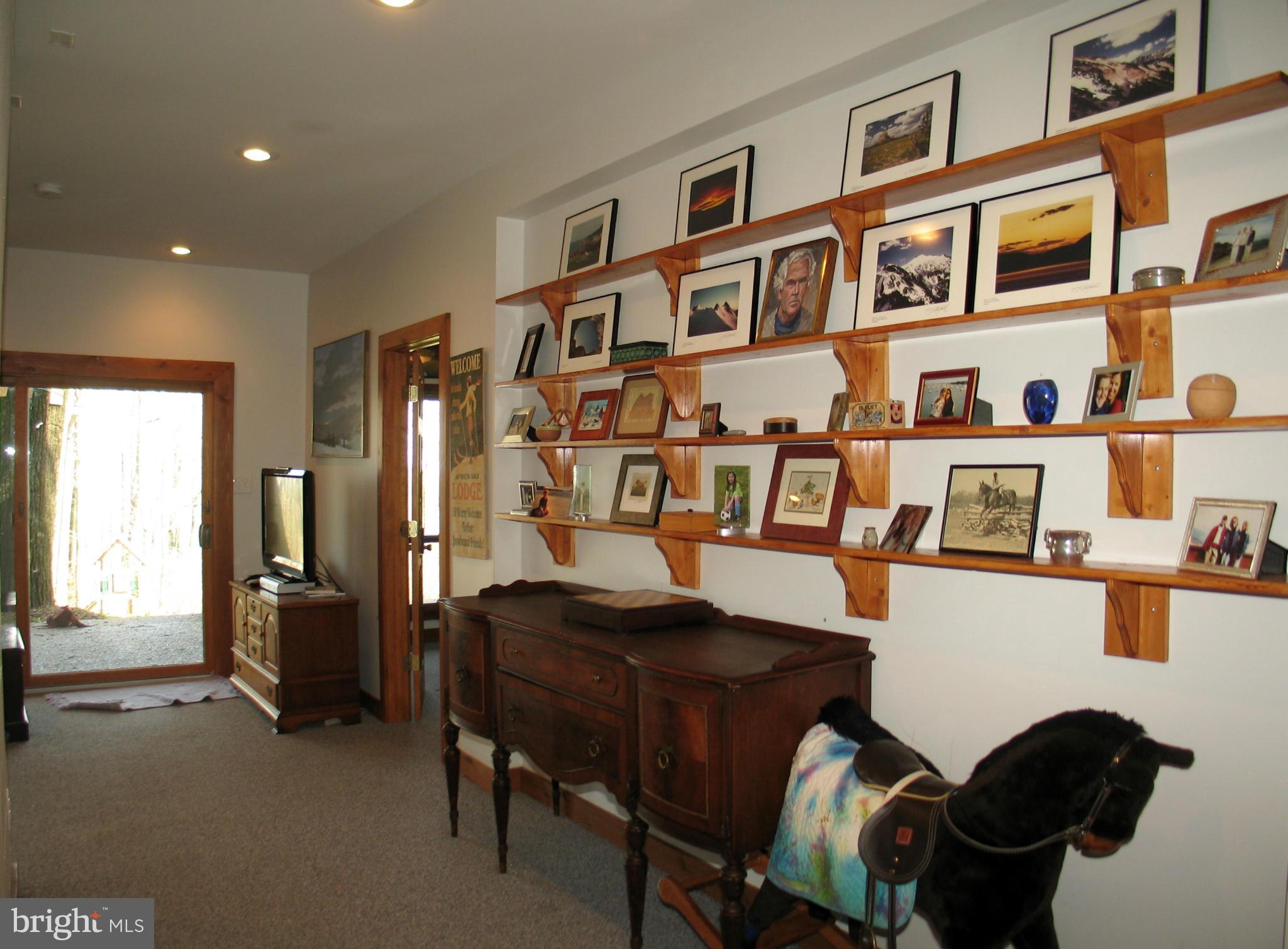21967 Blue Ridge Mountain Road Paris, VA 20130 - Photo 16 of 30 Lower Level Family Room