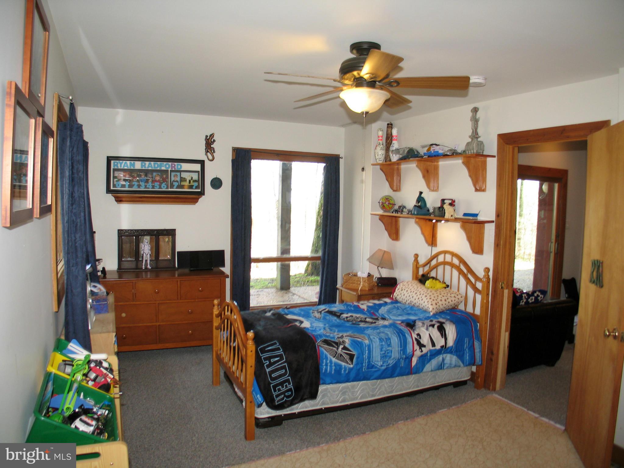 21967 Blue Ridge Mountain Road Paris, VA 20130 - Photo 18 of 30 4th Bedroom on Lower Level