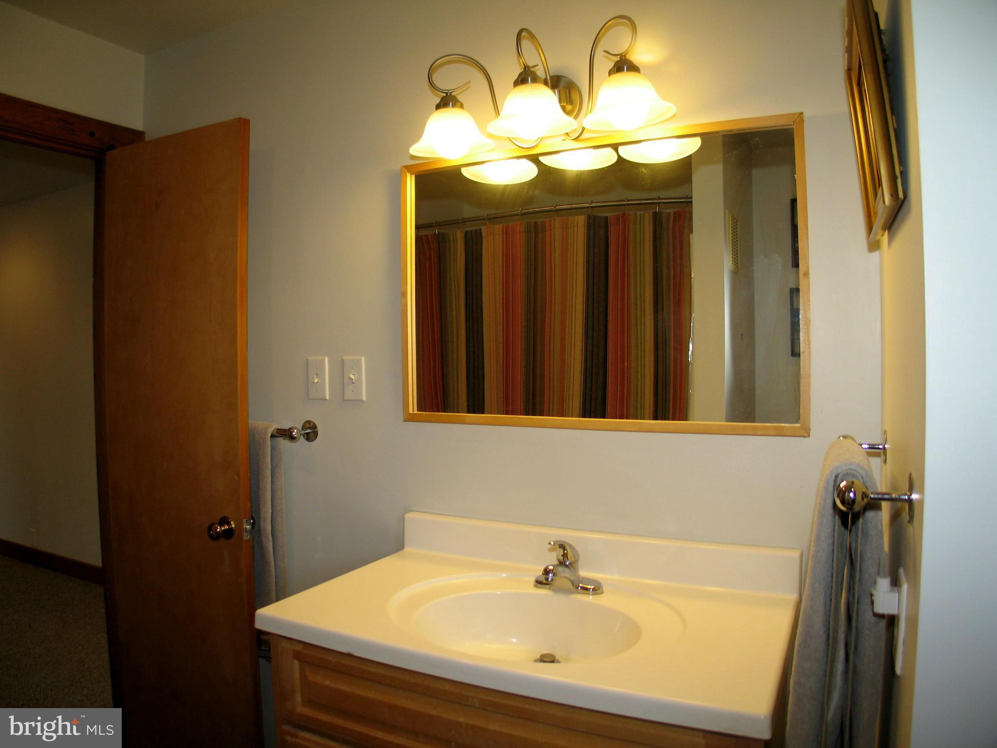 21967 Blue Ridge Mountain Road Paris, VA 20130 - Photo 19 of 30 Full Bath on Lower Level
