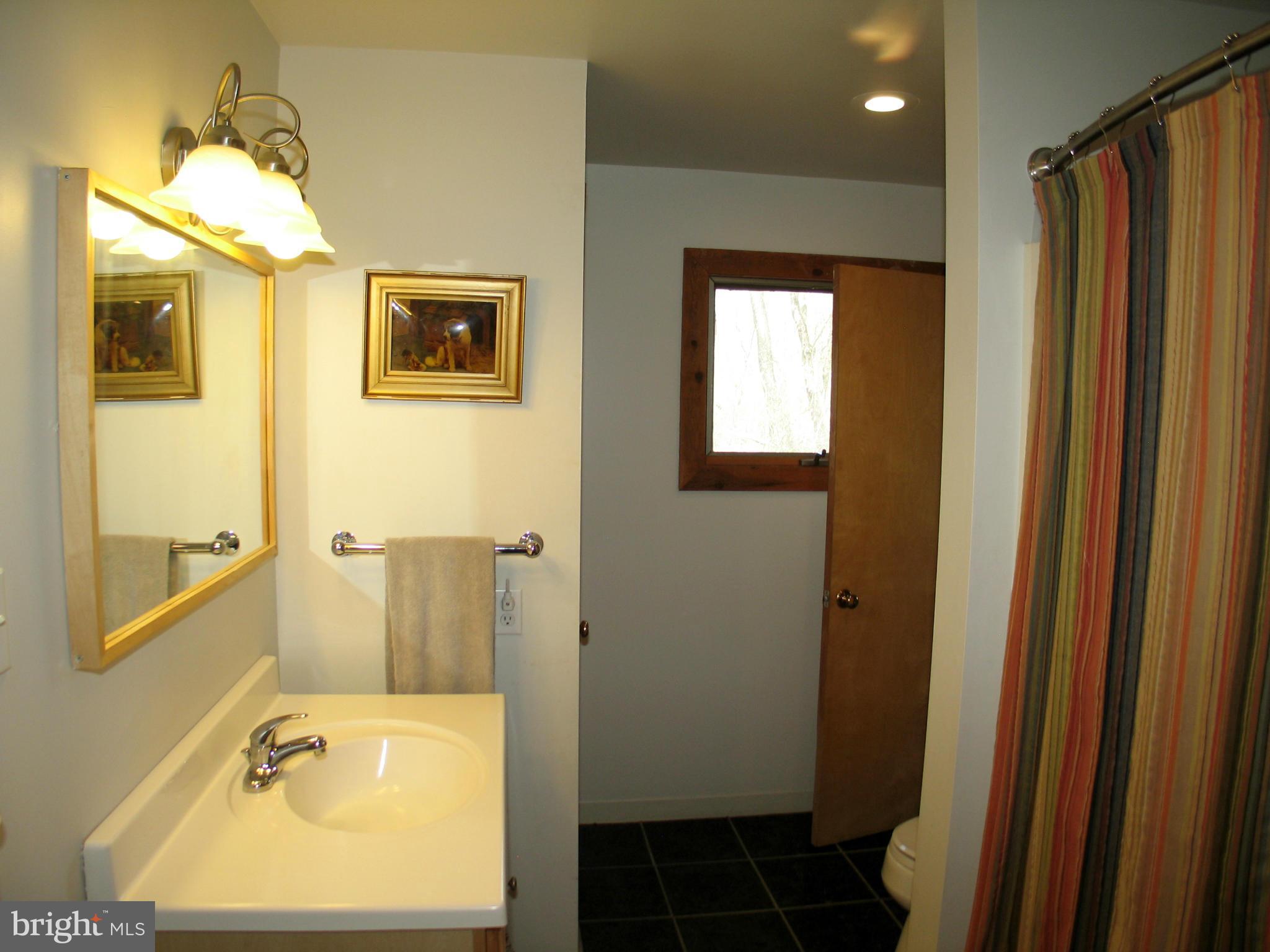 21967 Blue Ridge Mountain Road Paris, VA 20130 - Photo 20 of 30 Lower Level Bath